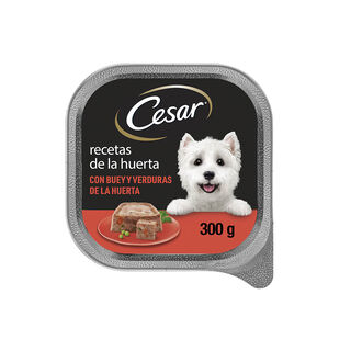 Cesar Buey y Verduras Tarrina en Gelatina para Perros